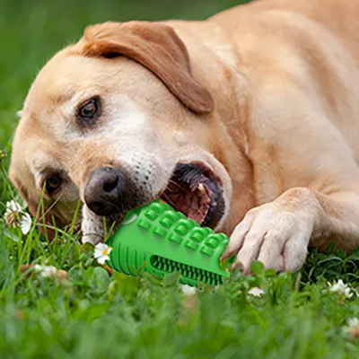 Derrames de alimentos ecológicos que alimentan la bola resistente a las mordeduras del juguete del animal doméstico del Chew del juguete del perro de goma